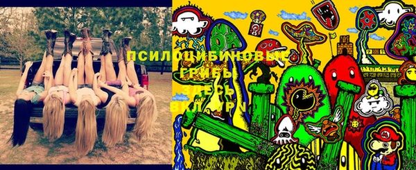 МДПВ Алексин