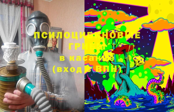МДПВ Алексин