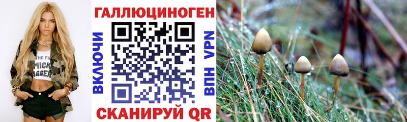 Псилоцибиновые грибы мицелий  купить наркоту  Богучар 